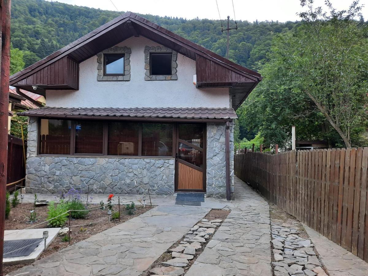 Casa Crissio Villa Sinaia Bagian luar foto